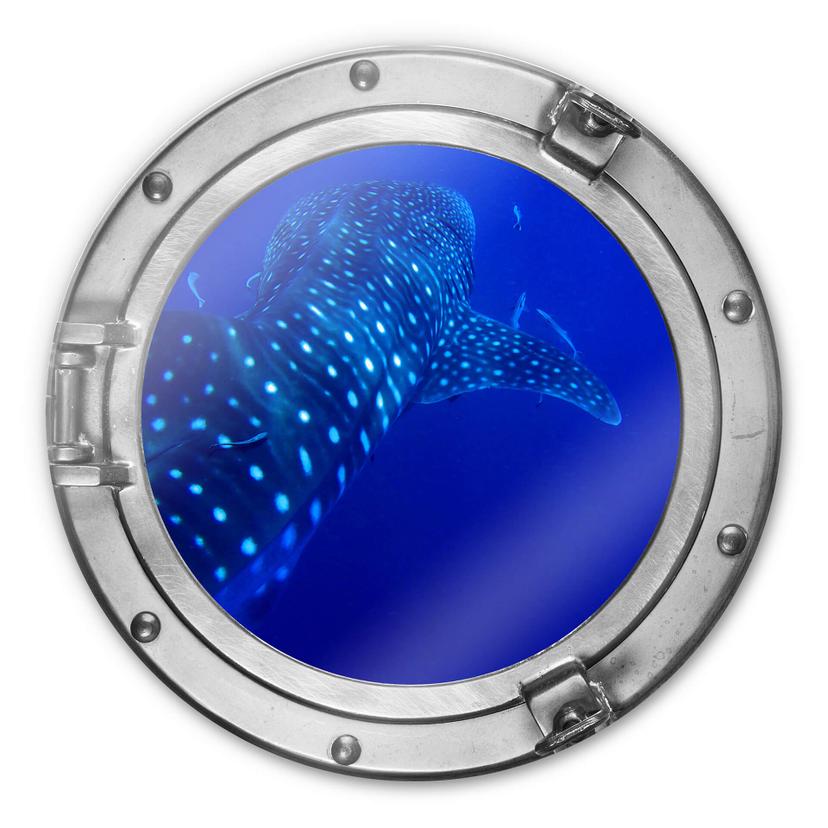 Glasschilderij rond 3D optiek - Ocean Life