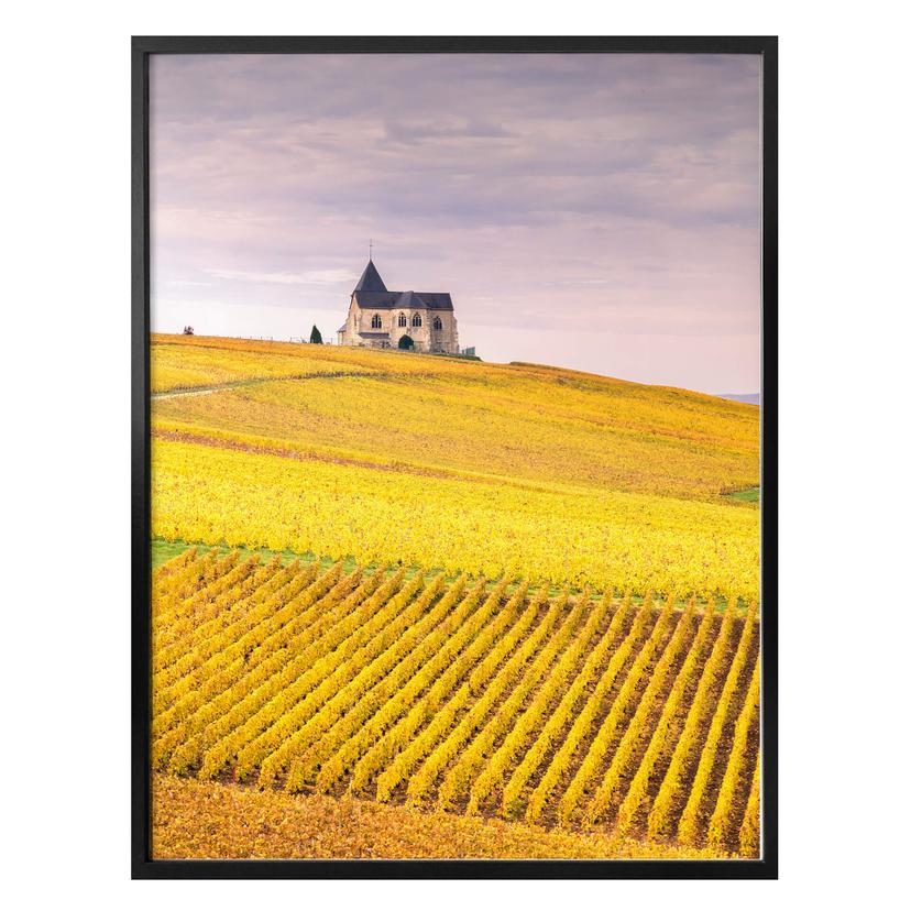Plakat - Colombo - Vinmarker i Champagne