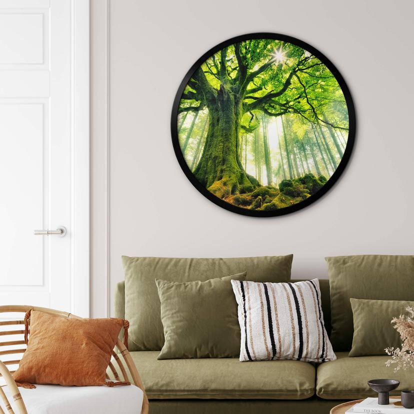 Poster Kiciak - Sagolik skog - Rund