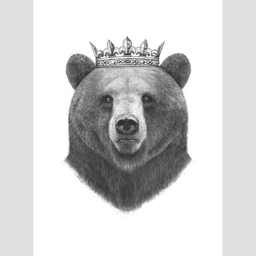 Fototapete Korenkova - King Bear