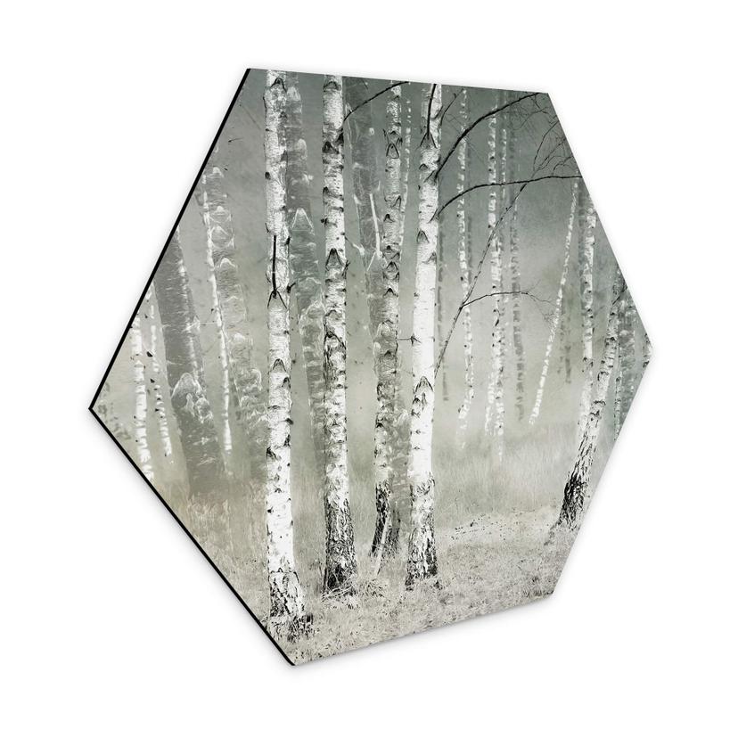Hexagone - Tableau sur alu-Dibond Talen - Repos matinal