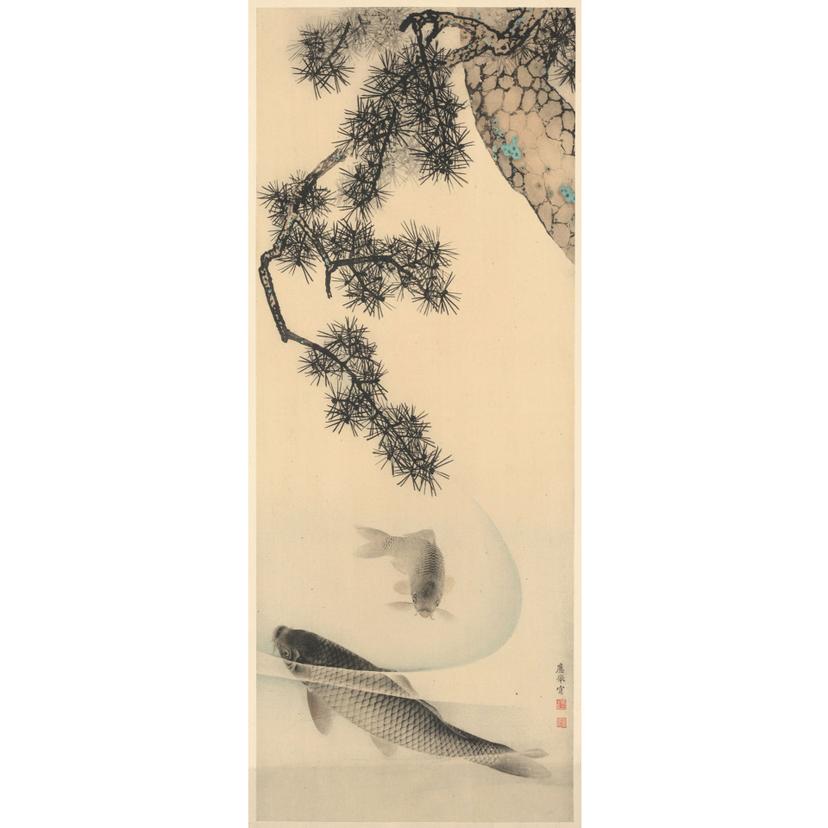 Fotobehang Vliesbehang Koi