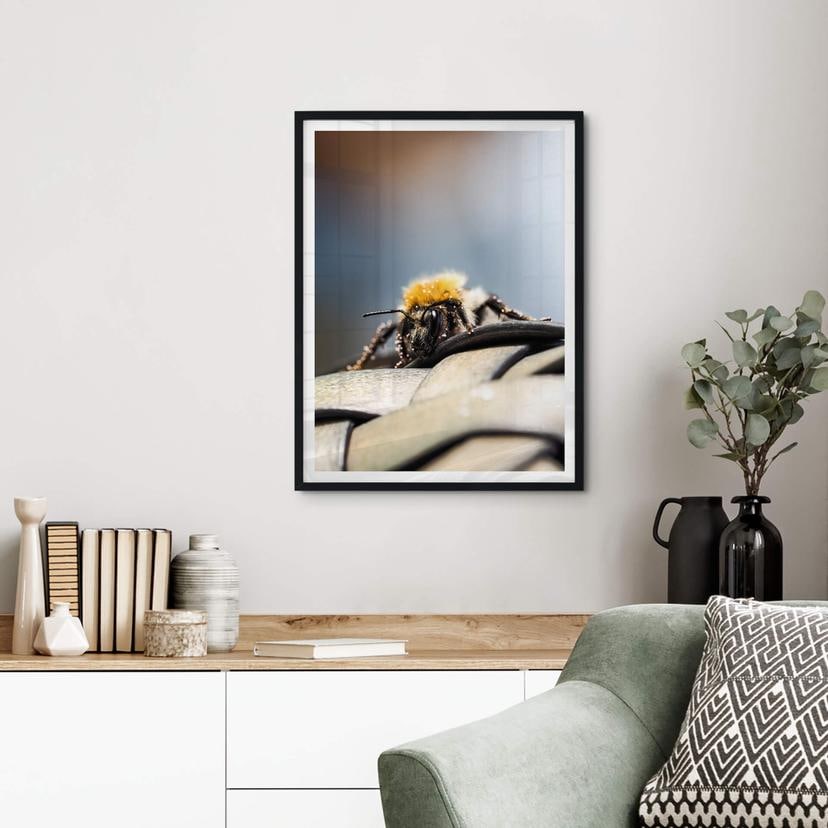 Poster Brown - Makrobi