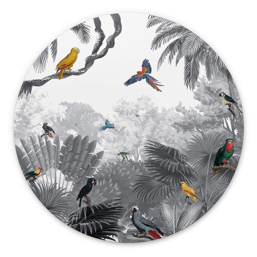 Tableau sur alu-Dibond rond Kikki Belle - Tropical Birds