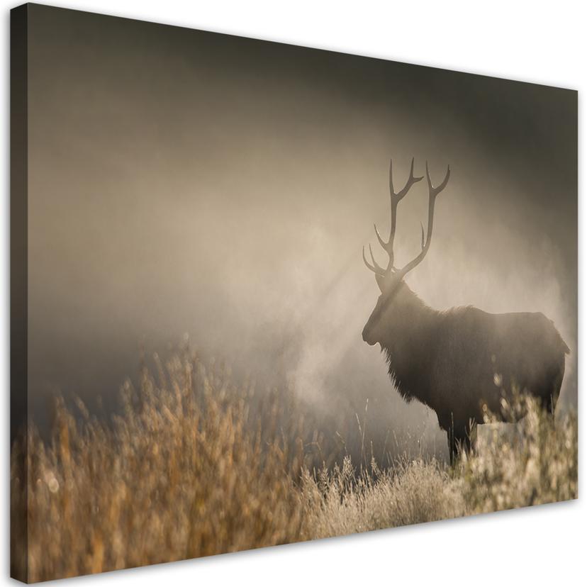 Canvasbillede, Hjort i tågen natur