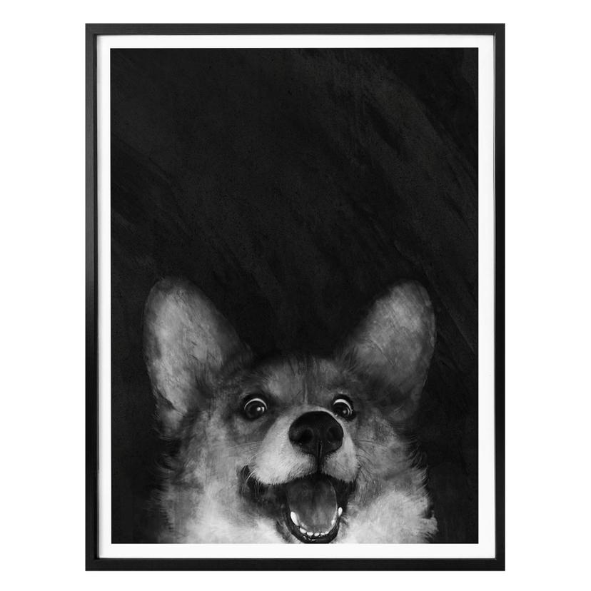 Póster Graves - Salchicha Fox Corgi