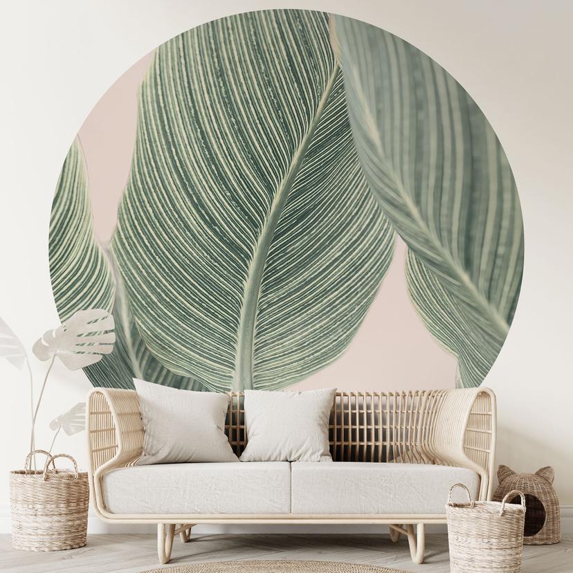 Tapet cirkel Calathea-plante - Sisi & Seb - vliesetapet/selvklæbende non-woven tapet