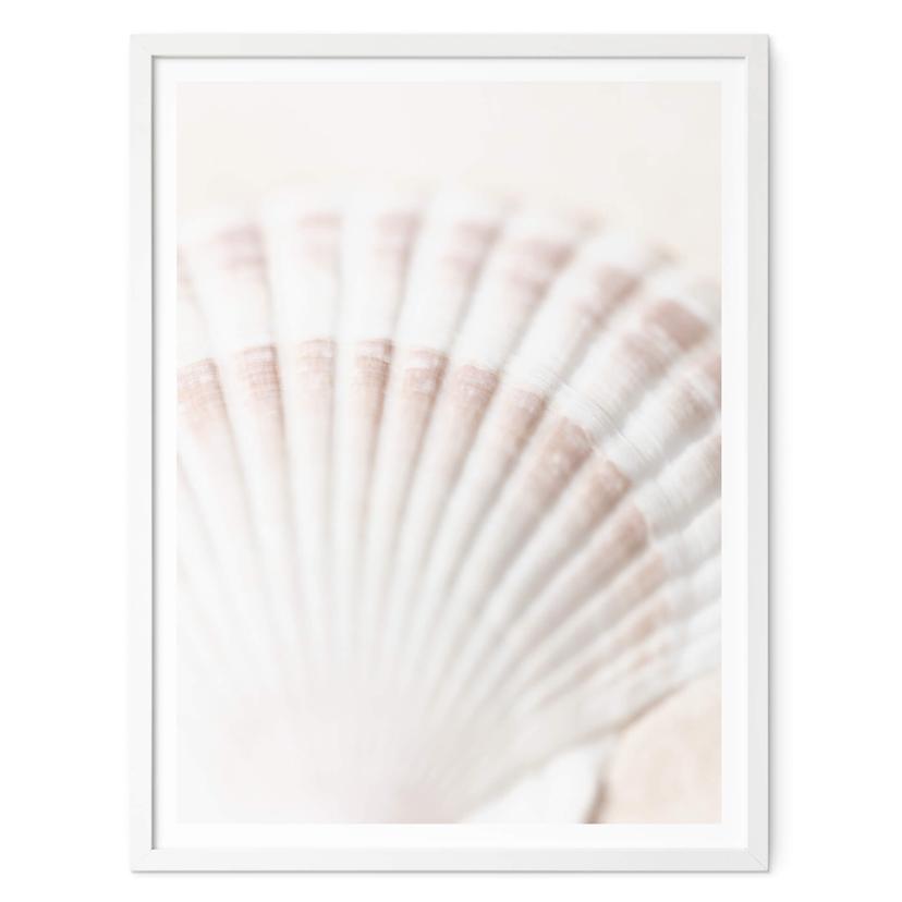 Póster 1X Studio - Vieira