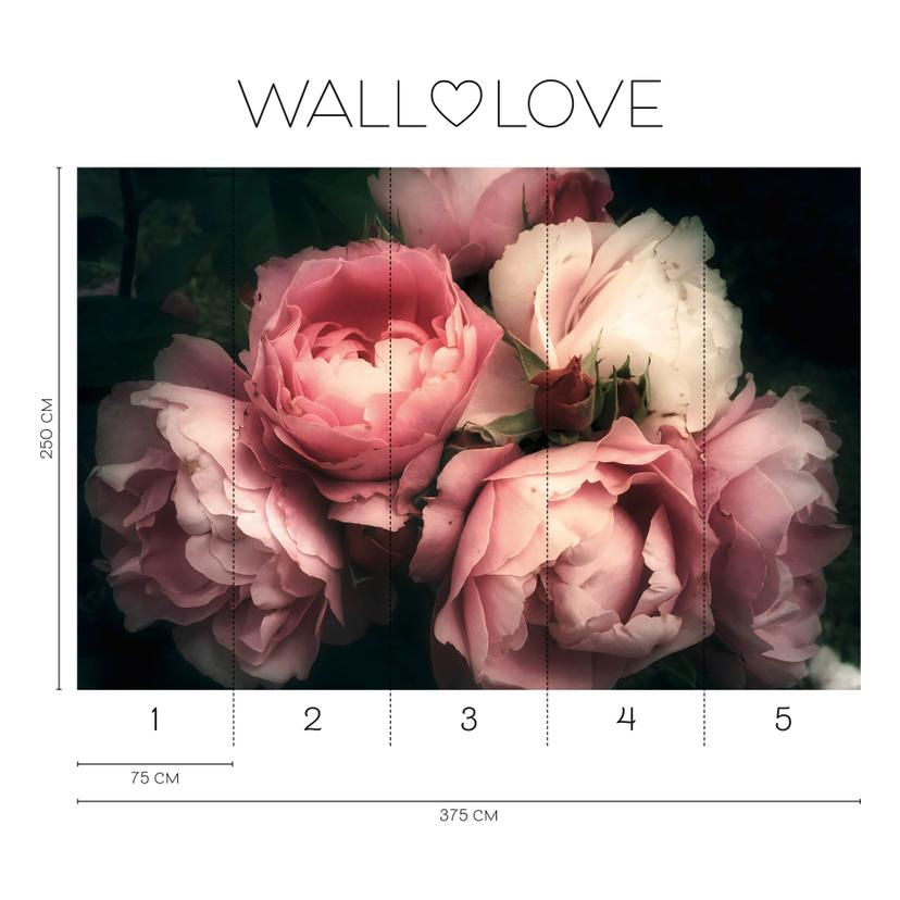 Fotomurale Rose rosa bianco scuro - Carta da parati in tessuto non tessuto 3,75 m x 2,50 m motivo fl