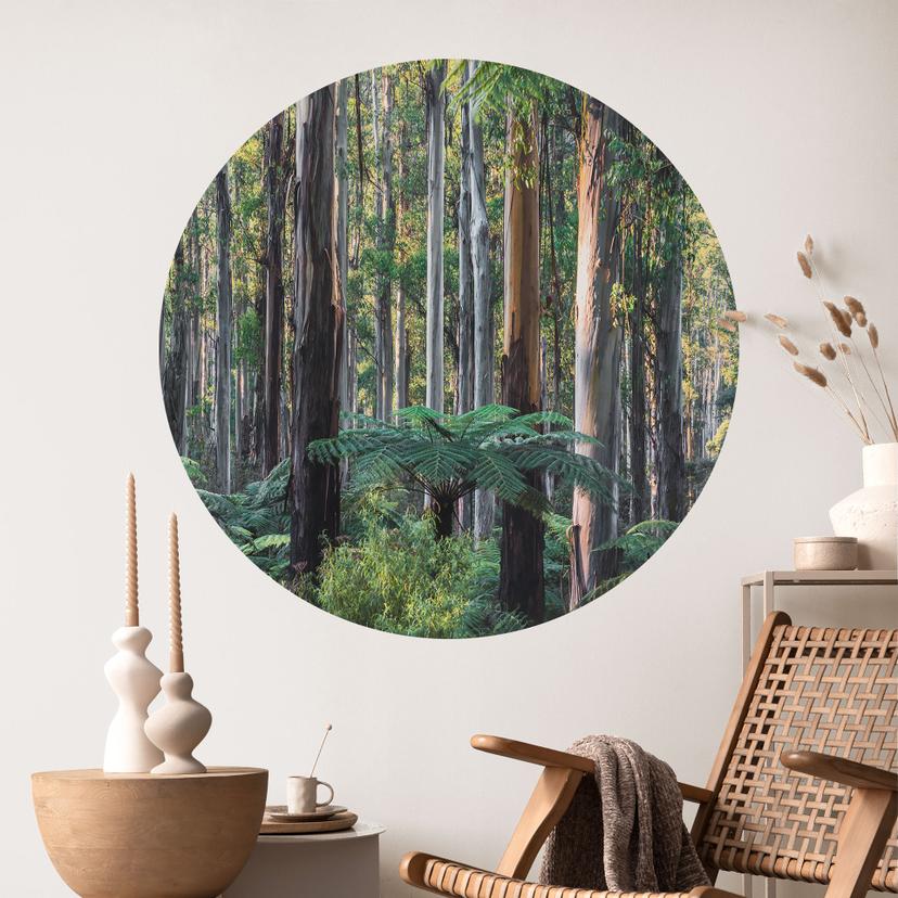 Eukalyptusskov i Yarra Ranges Wallsticker - Colombo - Round