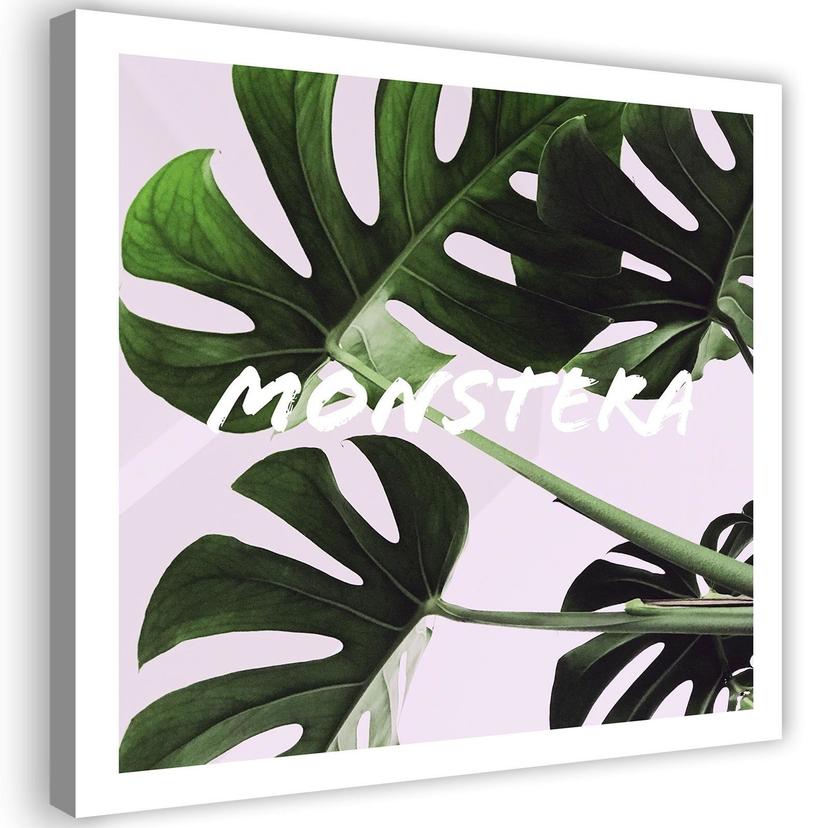 Canvasbillede, Monstera eksotiske blade