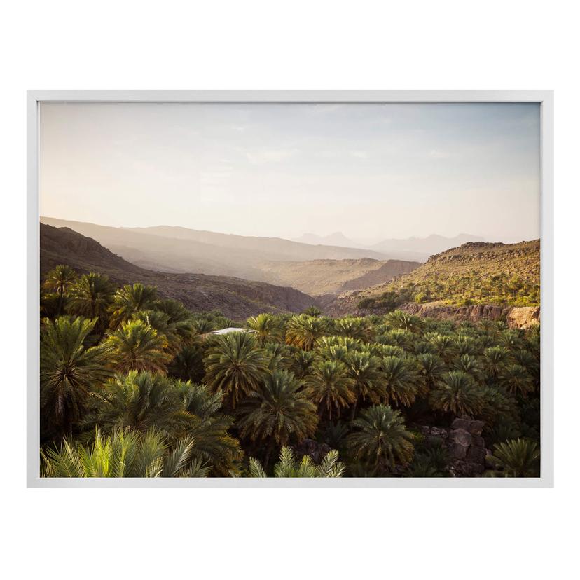 Plakat - Colombo - Oase i Oman