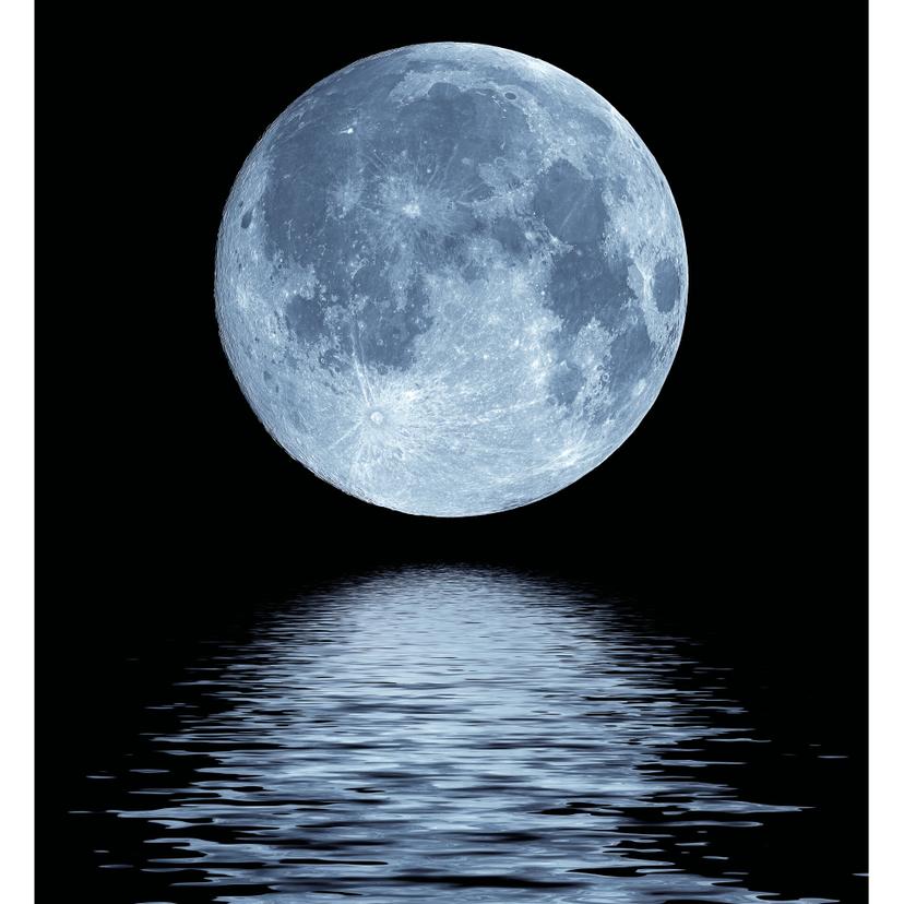 Fotomurale Luna - 240x260 cm