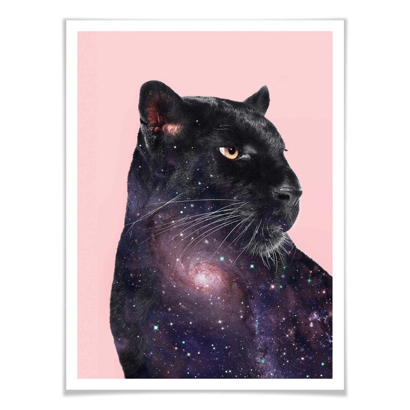 Poster Loose – Galaxy Panther