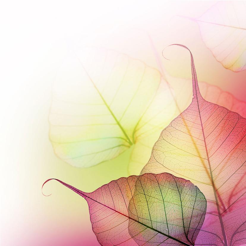 Fototapet med rosa design