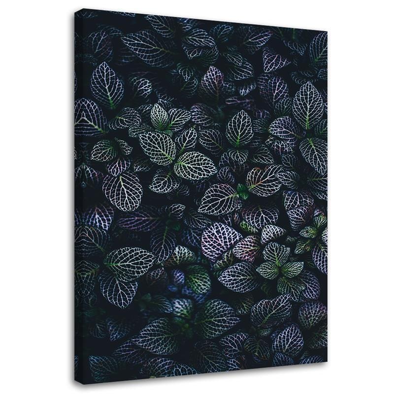 Tableau sur toile, Feuilles de plantes exotiques