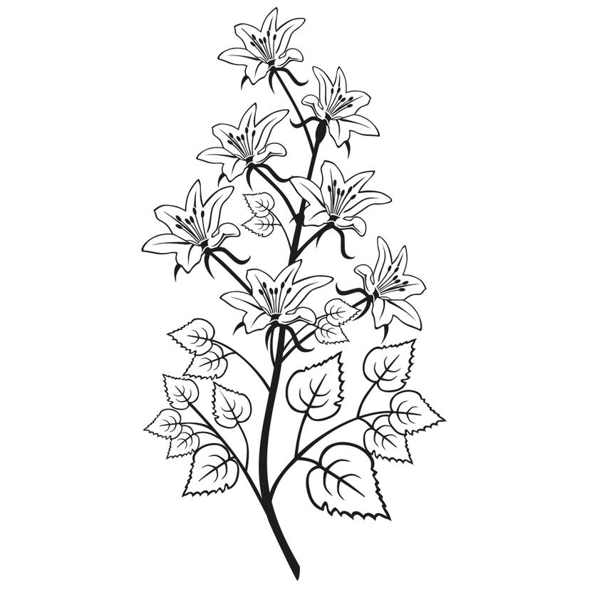 Sticker mural - Branche de fleurs 2