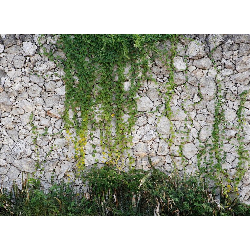 Livingwalls Fotomurale Designwalls - Muro in pietra