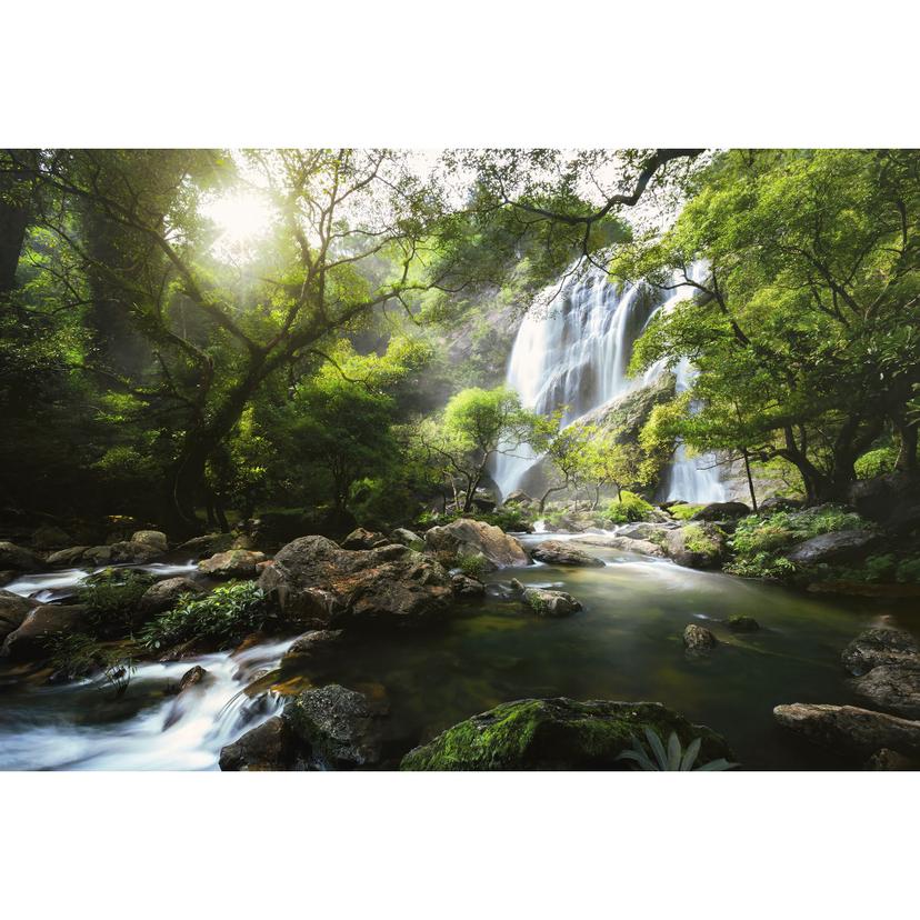 Fotomurale Cascata nella foresta