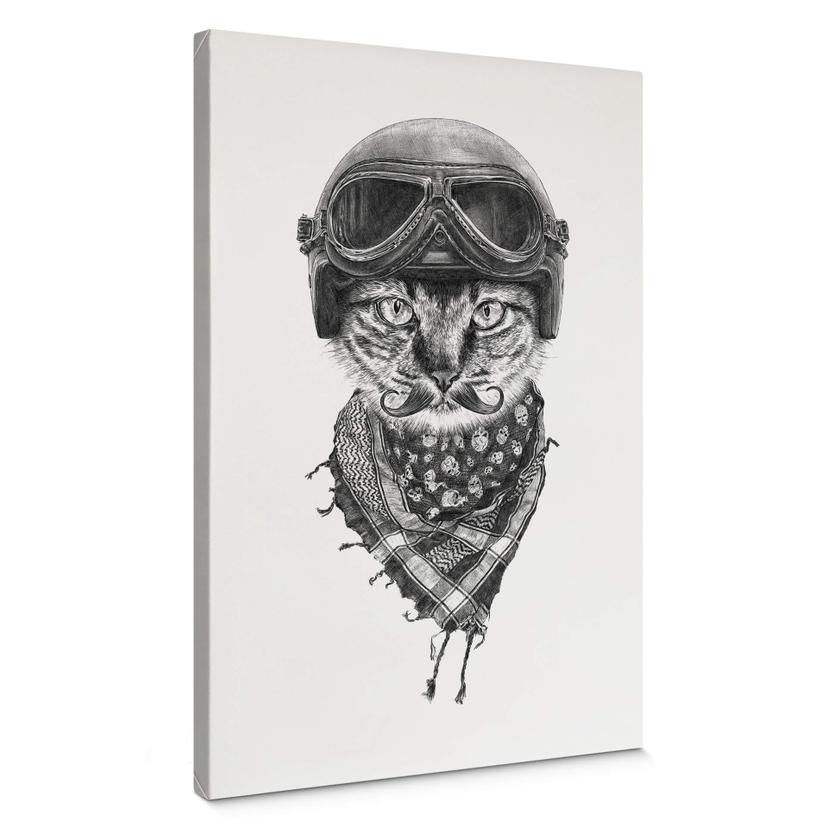 Lienzo Kools - Biker Cat
