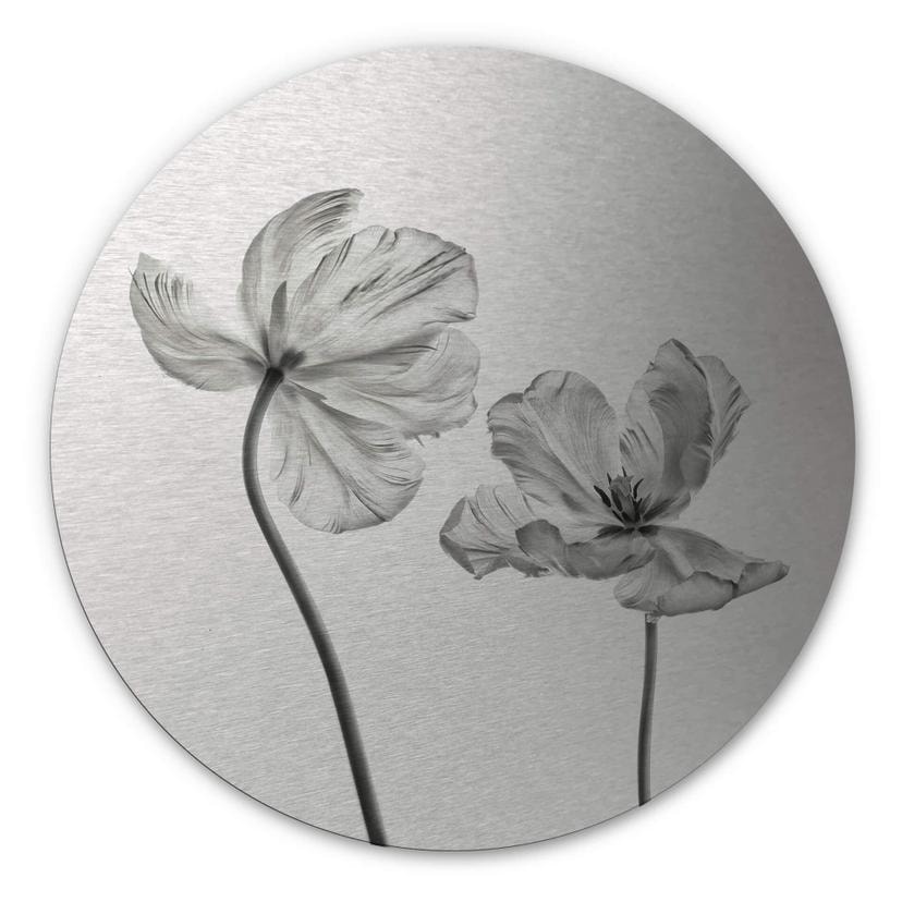 Dibond Schilderij met zilver effect Grønkjær - Tulpen