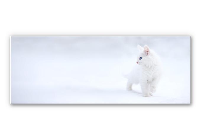 Tableau Forex - Prexus - Plus blanc que neige