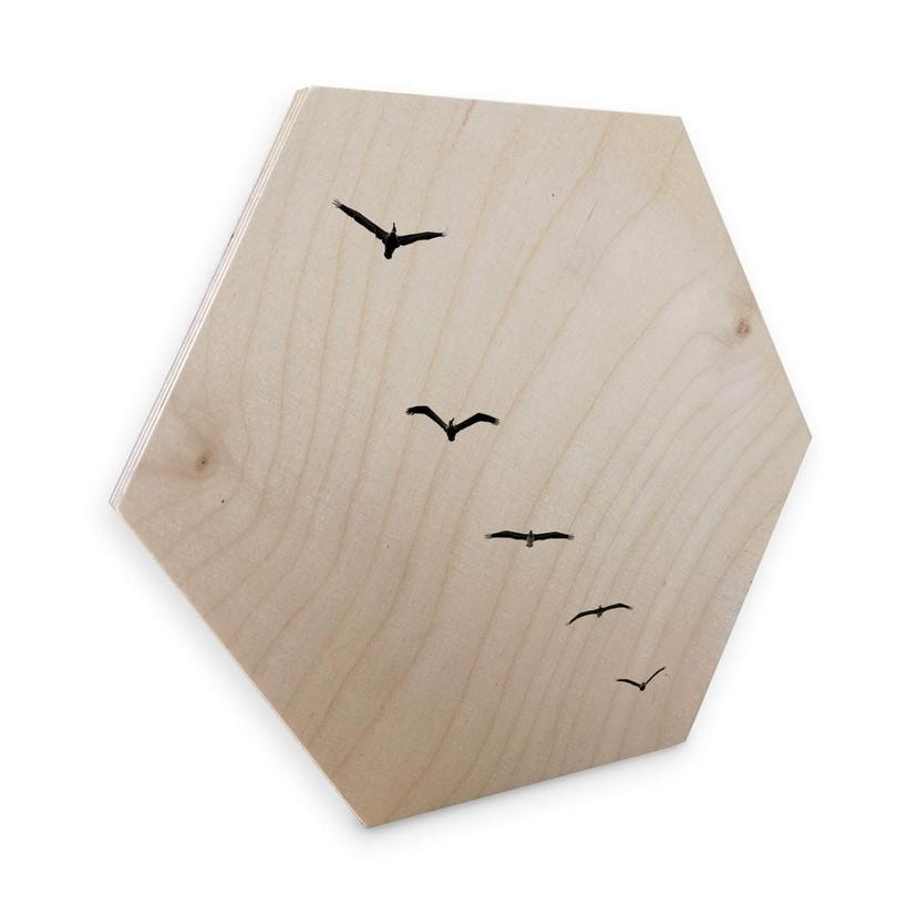Hexagon Hout Kubistika - High in the Sky