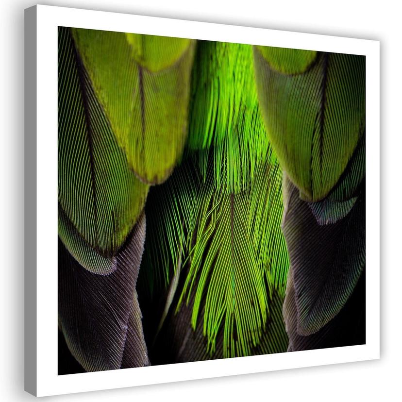 Canvasbillede, Fjer natur