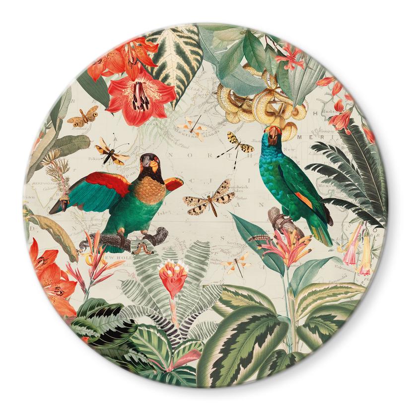 Glasbillede - Eksotisk jungle med papegøjer - UN Designs