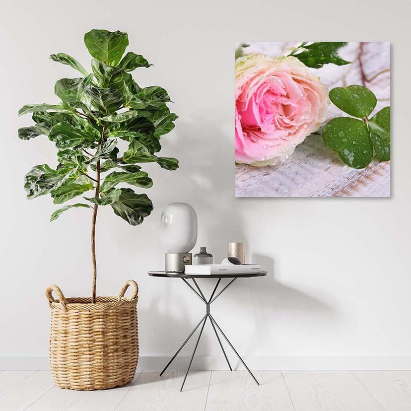 Stampe su tela, Fiori di rosa nella natura