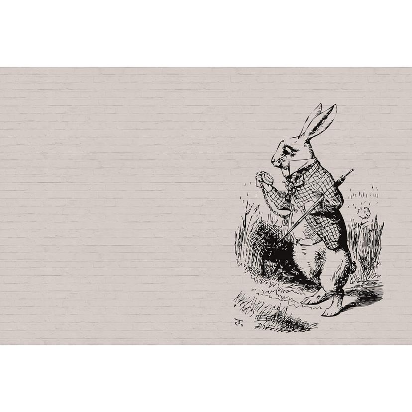 Fotomural Paredes de Patel bunny 2