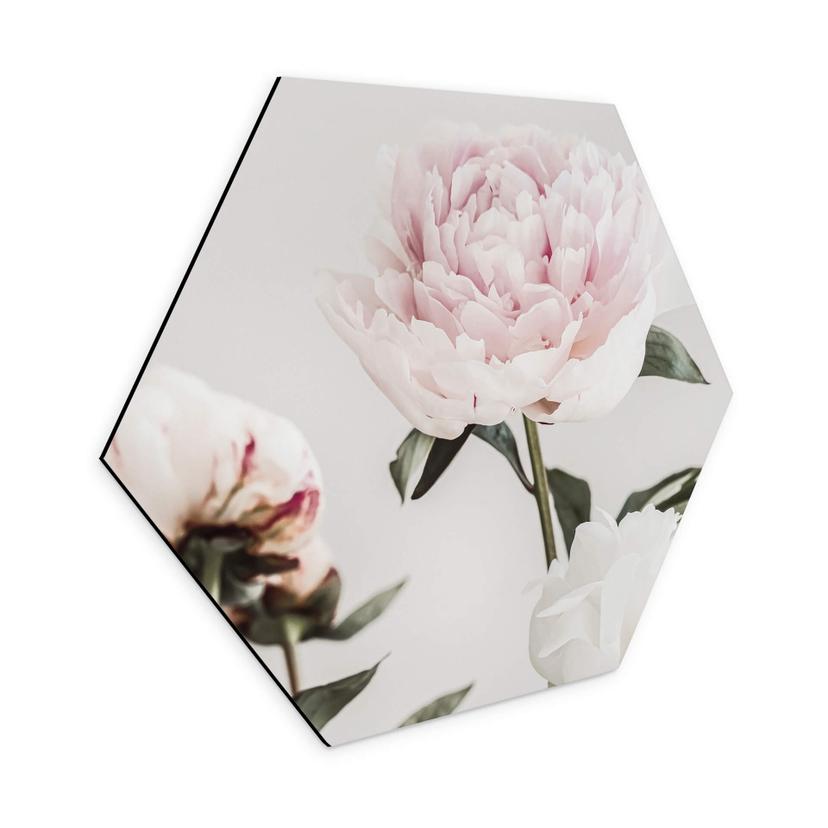 Hexagone - alu-Dibond 1X Studio - Trois pivoines en fleurs