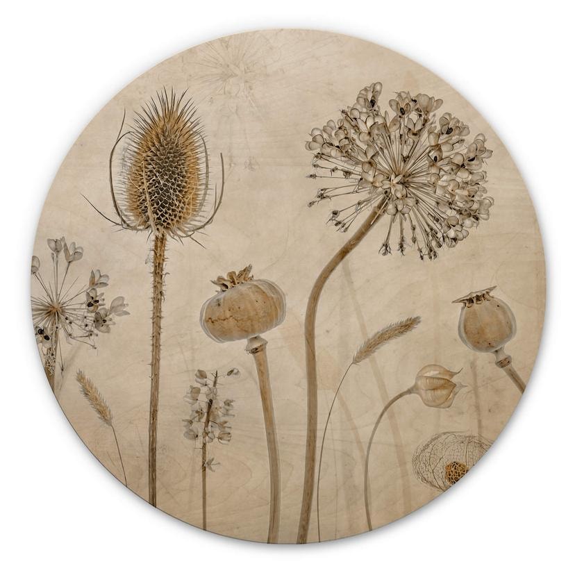 Billede af træ - Tørrede blomster - Rund