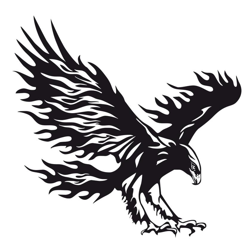 Adesivo murale - Aquila