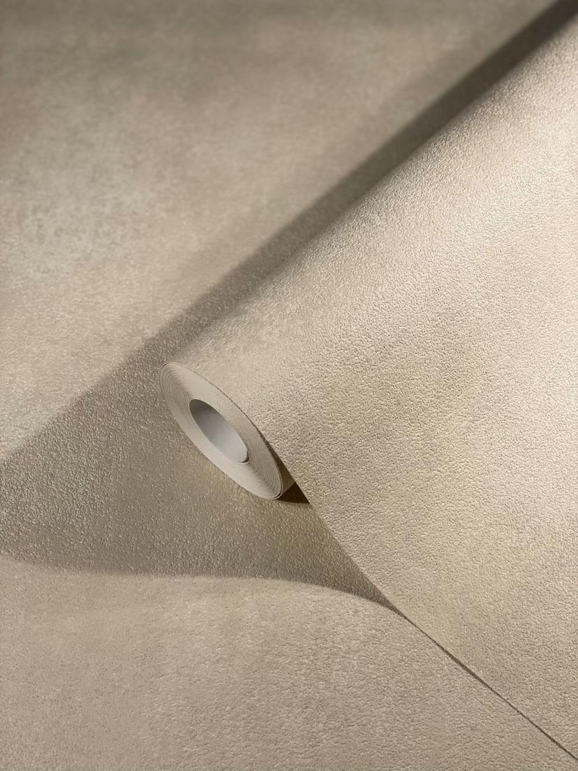 behang Vliesbehang SCHÖNER-WOHNEN, behangpapier beige