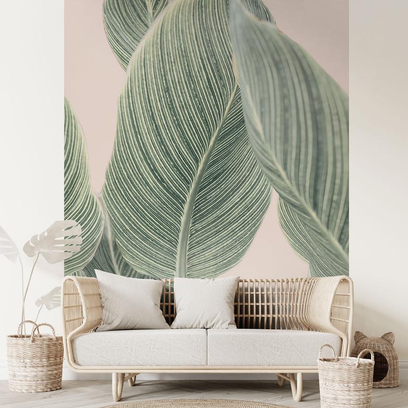 Fotomural de Calathea - Sisi & Seb