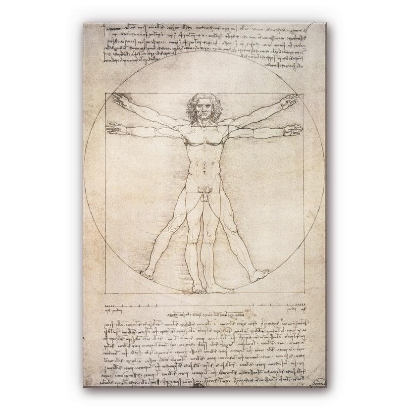 Akrylbillede da Vinci - Den vitruvianske mand