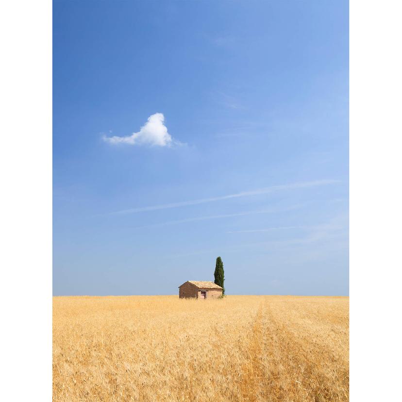 Fotomurale Colombo – In Toscana