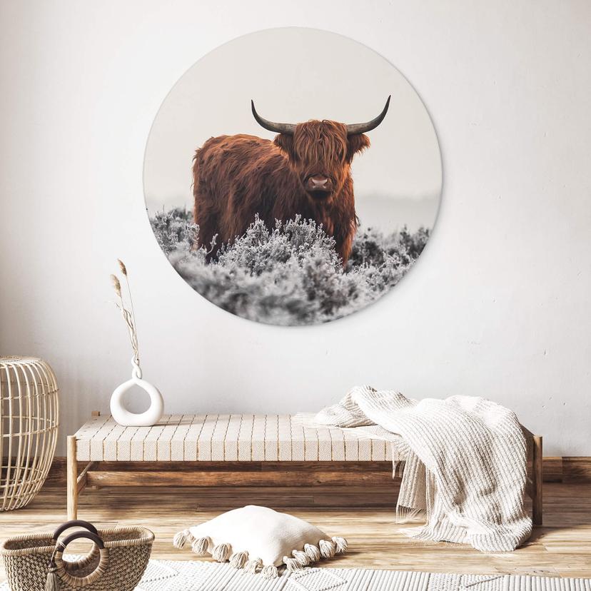 Cerchio a muro van den Helm - Highlander