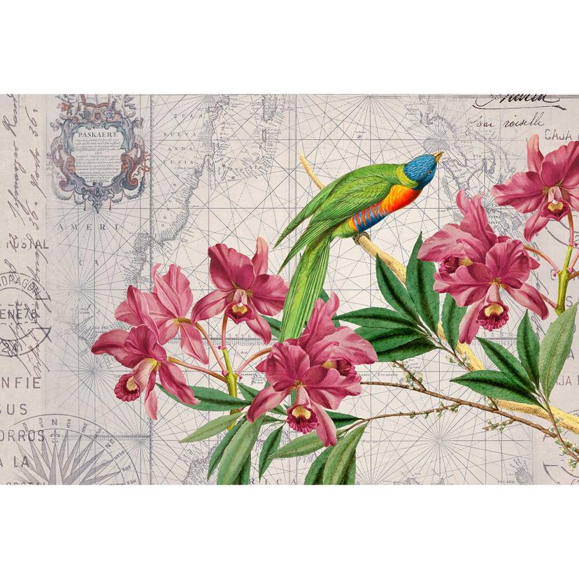 Livingwalls papier peint photo ARTist Bird Discovery avec fleur oiseaux et carte du monde beige