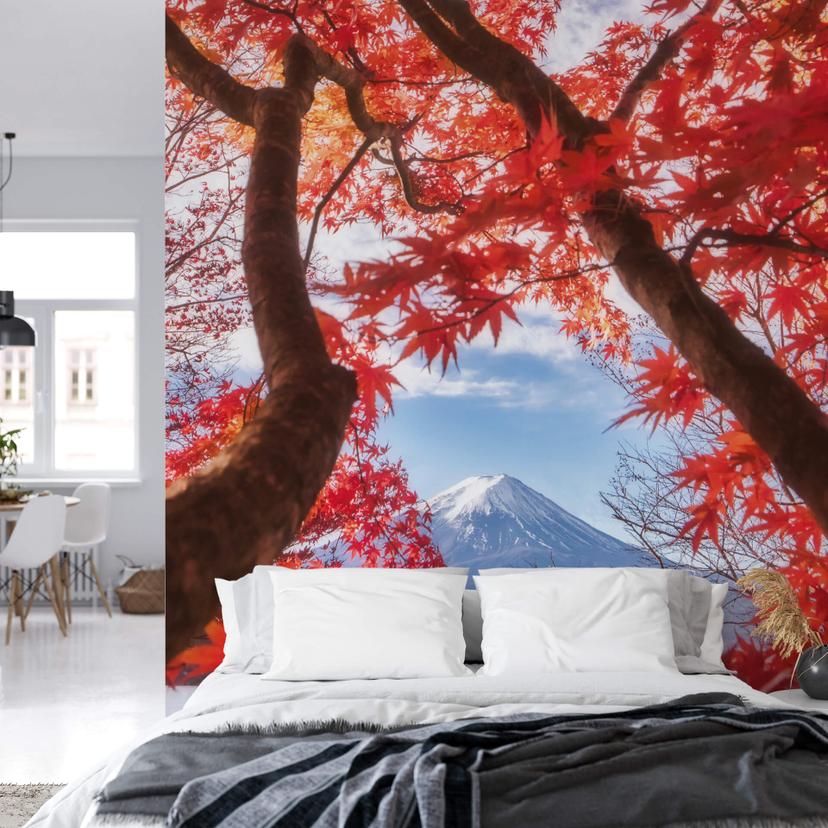 Samejima - Fotomural de hojas rojas - 192x260 cm