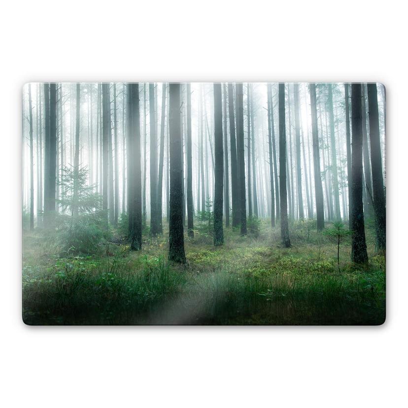 Glasschilderij Lindsten - in het bos