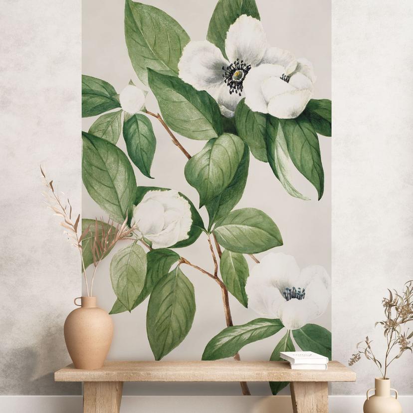 Fotomural botánico de una camelia falsa - Walcott