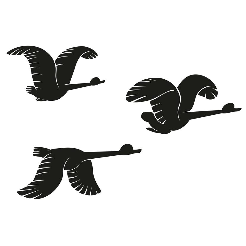 Wallsticker - Flyvende ænder