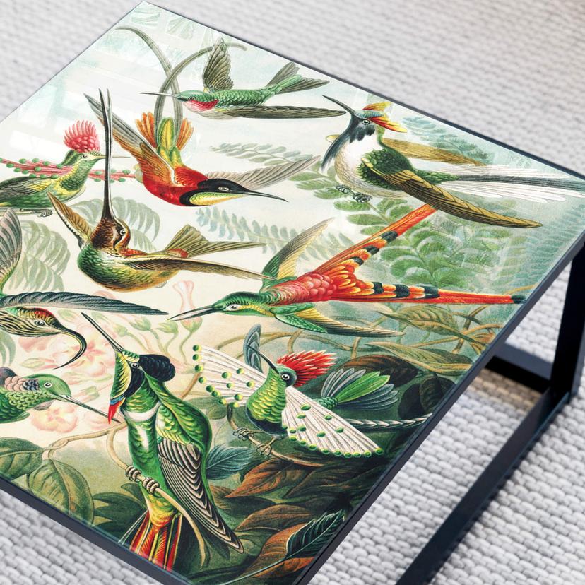 Plateau de table en verre - Haeckel - Colibris - Carré
