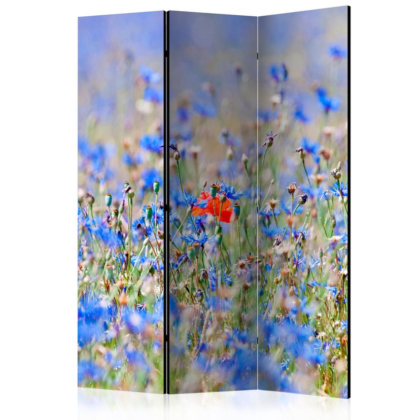 Paravent Séparation de pièce - Pré céleste - Bleuets, 3 pièces