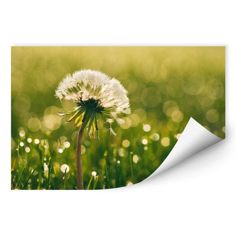 Muurprint – After Rain
