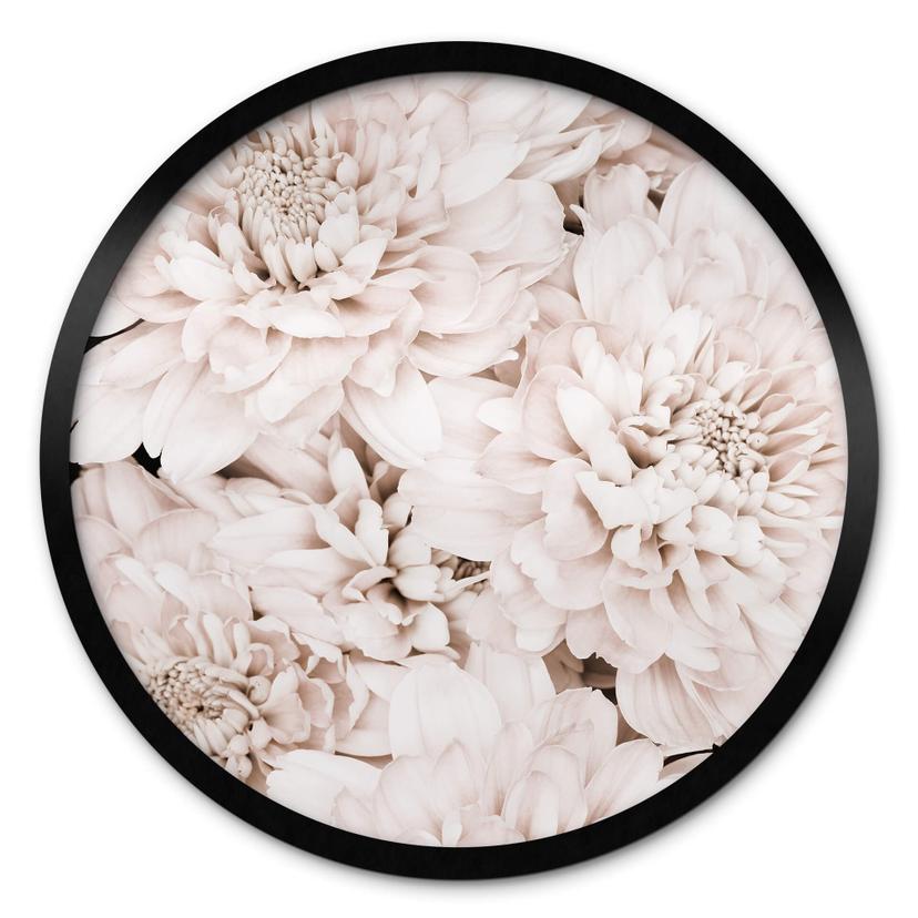 Plakat 1X Studio - Aster Apricot