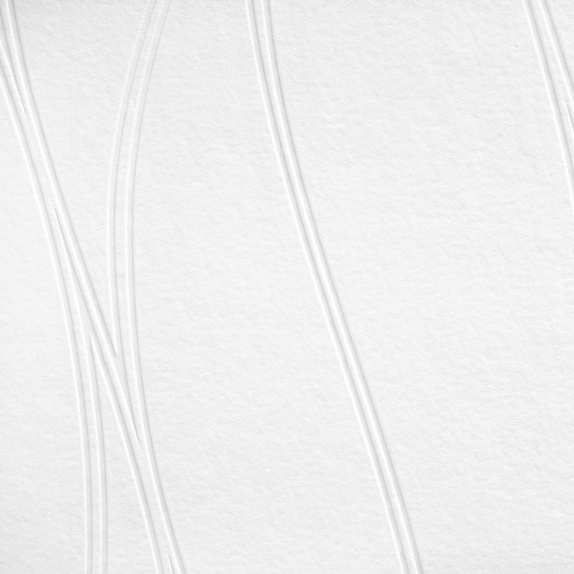 Papier peint intissé couvrant A.S. Création Meistervlies Pro Protect 2 blanc, couvrant