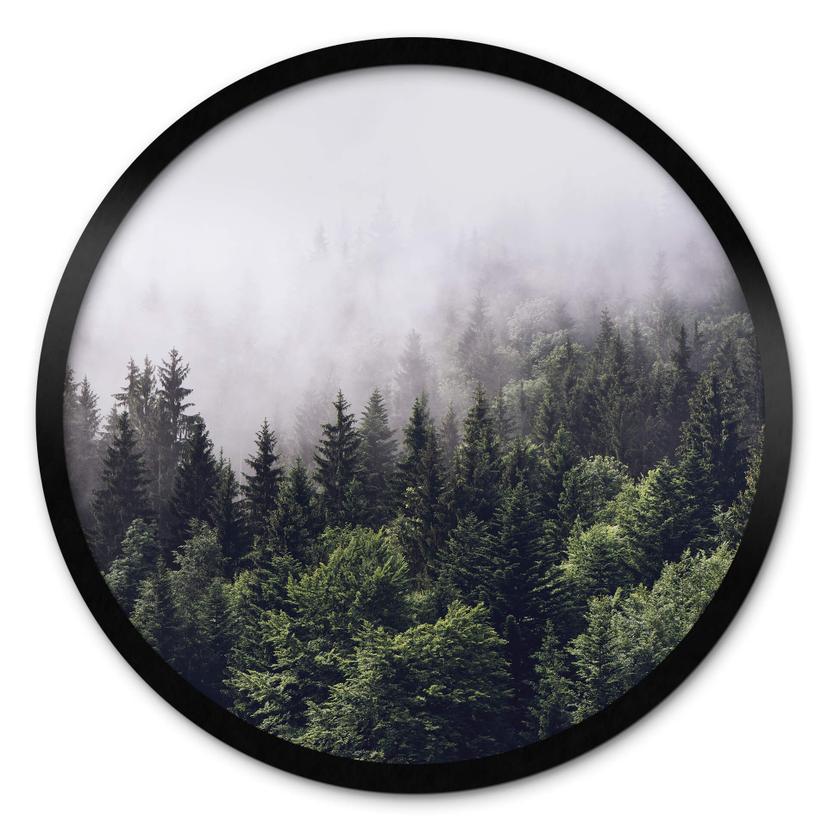 Plakat Foggy Forest